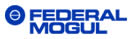 Federal Mogul