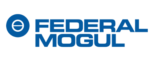 Federal Mogul®